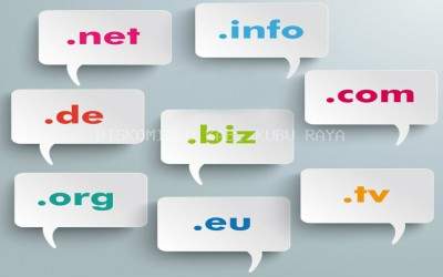 Apa Itu Domain